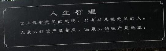 つ♡零度MC的图片