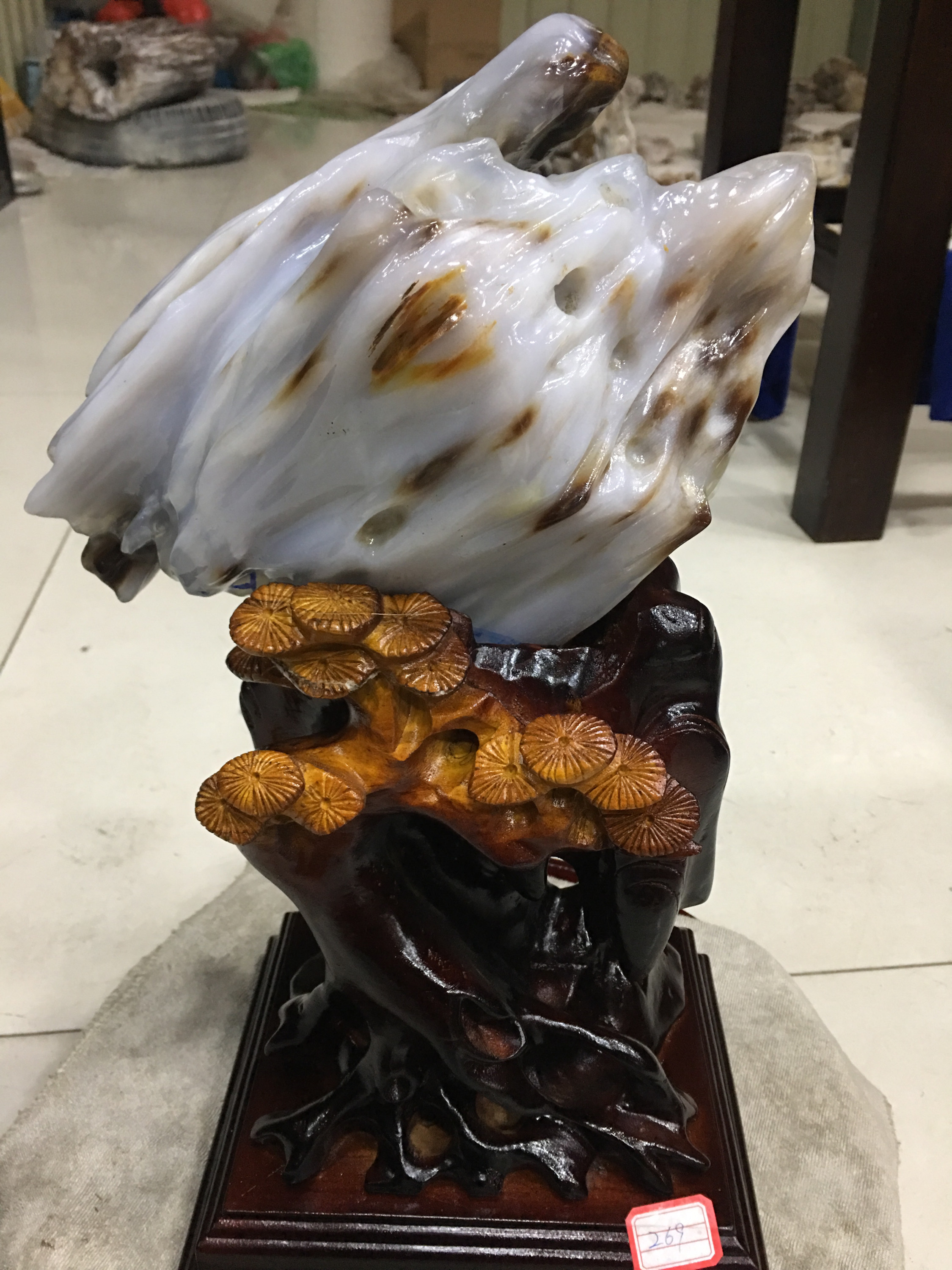 树化玉专场主播照片