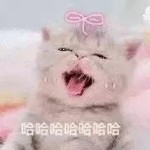 月小贰贰