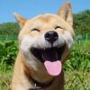 小婕唱歌跑调