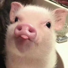 小痴儿今日休主播照片