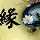 陪伴-妖魔殿