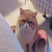 嘻嘻哈哈呵呵da海报