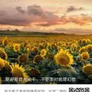 李民d