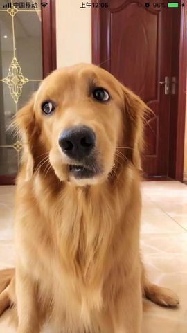 董姨？主播照片
