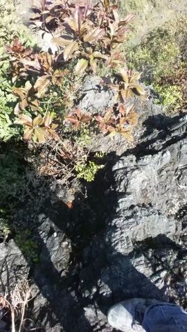 傲世英雄6主播照片