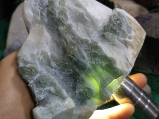 尋翡找翠的主播照片