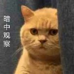 ❥仙音✿妙雪♪♪💃