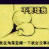 红花郎c海报