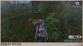 梦中的你看不清主播照片