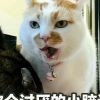 借我一生c*
