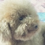 蹲墙角唠嗑