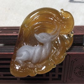 大雷翡翠市场走播主播照片