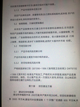 缅甸翡翠矿山一手主播照片