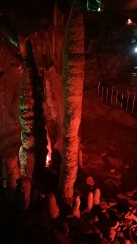 别。。。。闹主播照片
