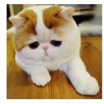 神秘人。老A海报