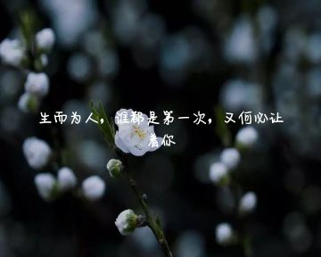 一天藍(lán)了再海??的主播照片
