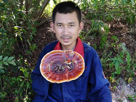 老朽不老主播照片