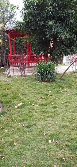 ♬默默✨小蛮宝☞🌜主播照片
