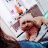 敷衍😳海报