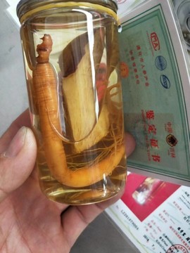土特产，纯粮酒坊主播照片