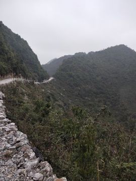 傲世英雄6主播照片