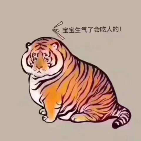 糊涂毕主播照片