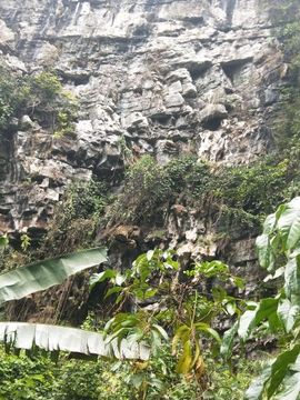 傲世英雄6主播照片