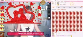 一只雁~主播照片