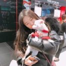 头发乱了🐰