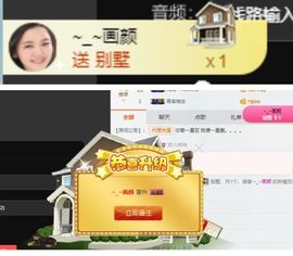 海鸽休息几天主播照片