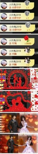 海鸽休息几天主播照片