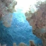 【翡翠猎人】淘玉1的头像