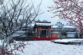 cailu81主播照片