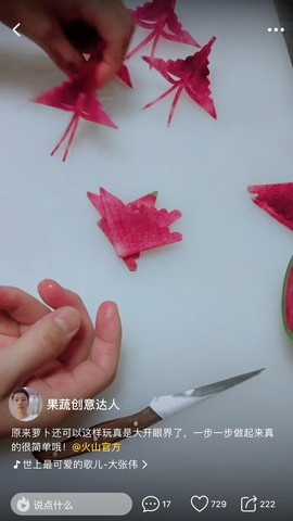 宇�宙崐鹏鴇汤商甑羝鸟主播照片