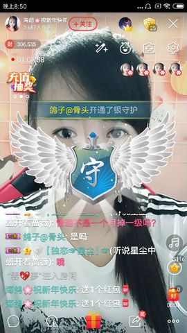 海鸽休息几天主播照片