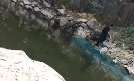 逍遥快活的人主播照片