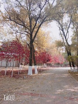 乖“我们的回忆，😘主播照片