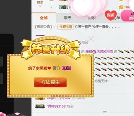 海鸽休息几天主播照片