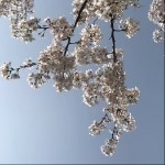 丰神俊秀海报