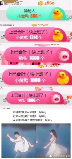 傲雪没人疼！主播照片