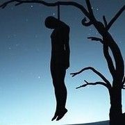 流浪地球朵朵