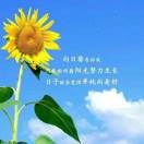 追梦
