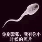 起风了。！的头像