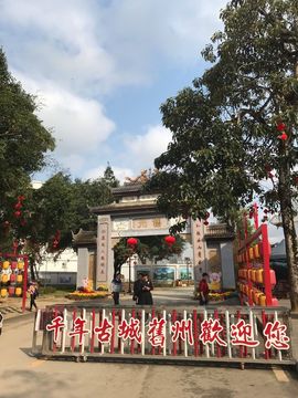 船长弹吉他主播照片