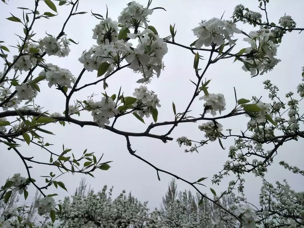 上山☞开荒的主播照片