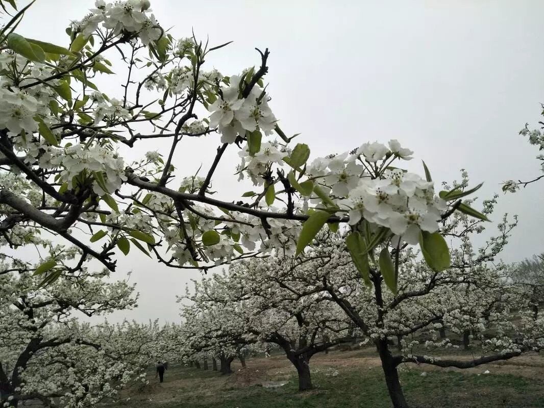 上山☞开荒的主播照片