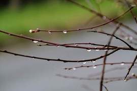 ☁＂吴彦祖主播照片
