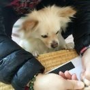 晴天v6**海报