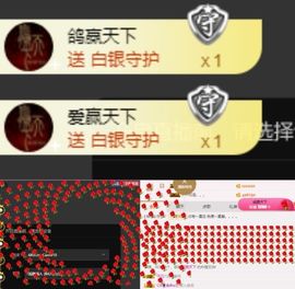 海鸽休息几天主播照片